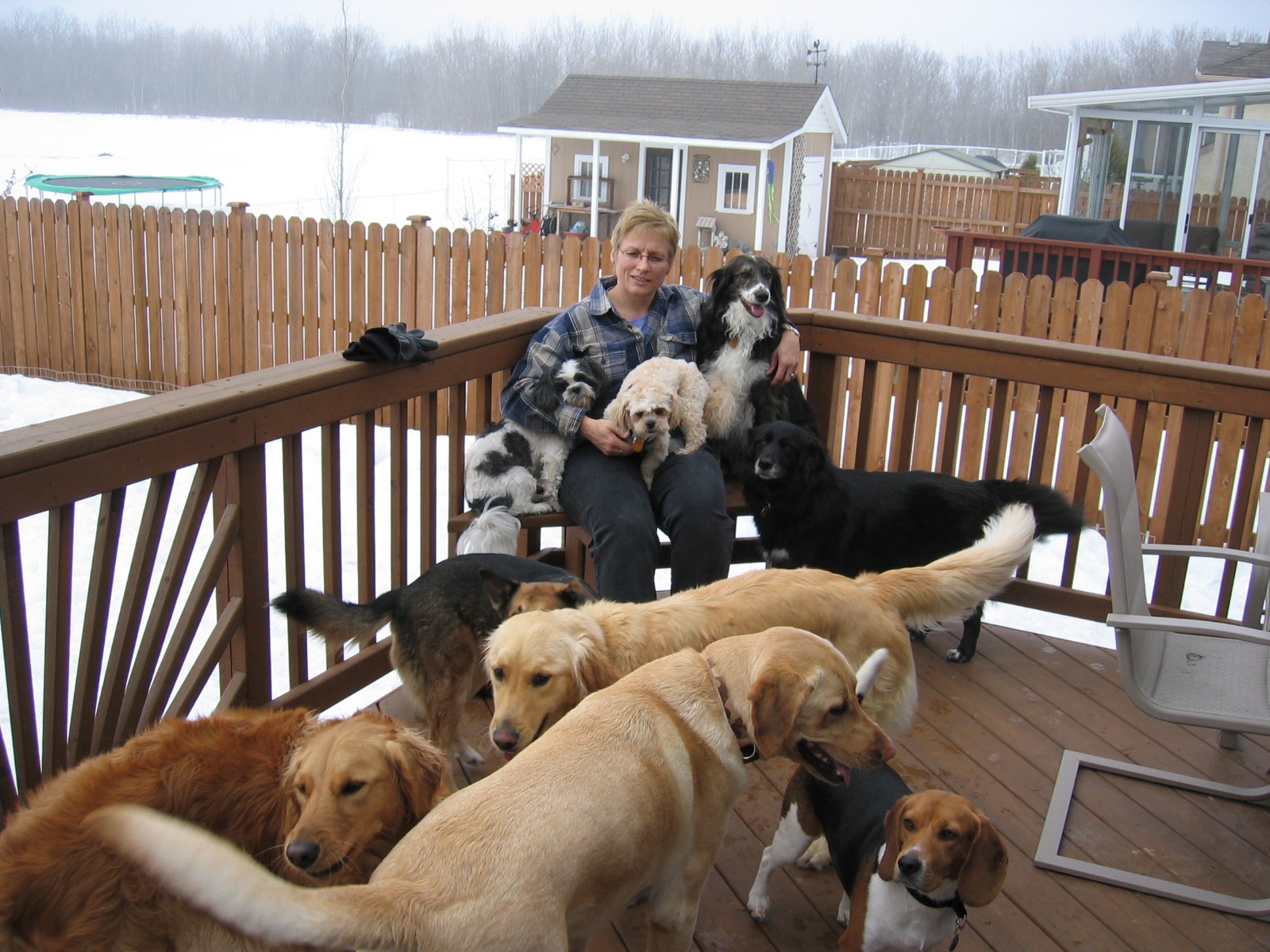 Sharon on the deck with dogs big and small